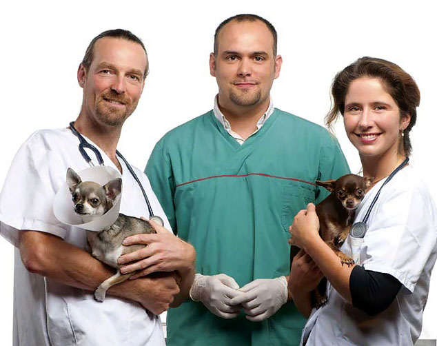 О клинике О клинике